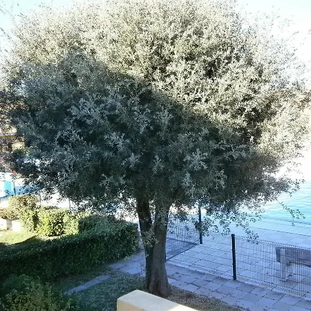 In 24429 Apartment Bibione